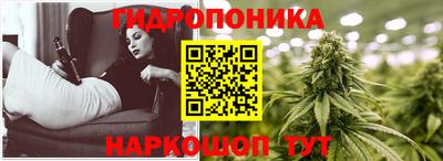 твердый Будённовск