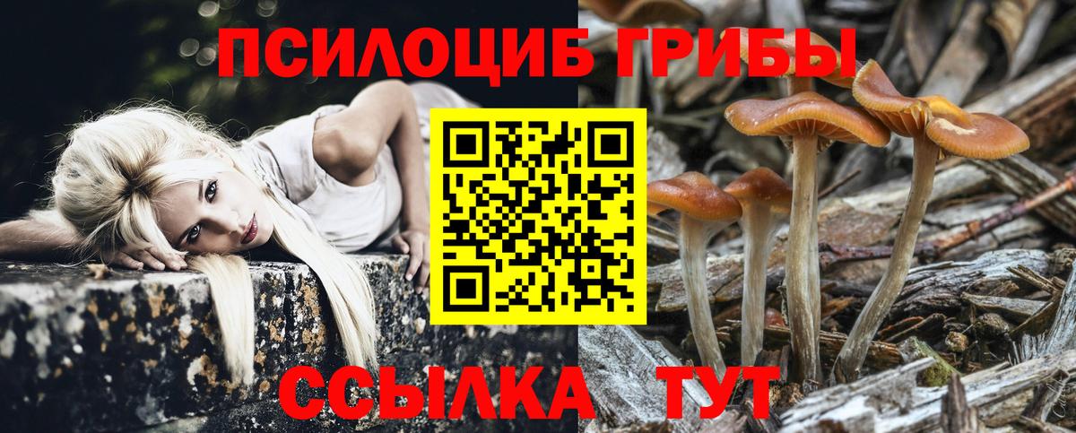 как найти закладки  Псилоцибиновые грибы MAGIC MUSHROOMS  Петрозаводск  Вход с VPN  Псилоцибиновые грибы Psilocybe 